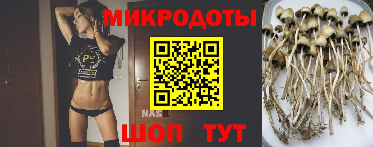 Красноуфимск  Псилоцибиновые грибы Magic Shrooms  Вход с VPN  Галлюциногенные грибы мицелий 